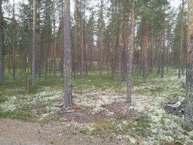 1700m, Railinpolku, Utajrvi, Tontit, Utajrvi, Tori.fi
