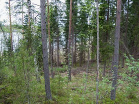 3000m², Mettikyläntie 526, Kouvola, Tontit, Kouvola, Tori.fi