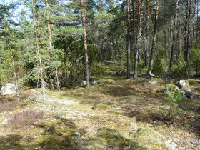 3750m², Penttijaakontie 2 A, Salo, Tontit, Salo, Tori.fi 3750m², Penttijaakontie 2 A, Salo, Tontit, Salo, Tori.fi