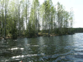 3700m², Kivistönpolku 54, Ruokolahti, Tontit, Ruokolahti, Tori.fi 3700m², Kivistönpolku 54, Ruokolahti, Tontit, Ruokolahti, Tori.fi