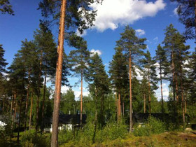 1289m², Hermannintie 2, Mikkeli, Tontit, Mikkeli, Tori.fi 1289m², Hermannintie 2, Mikkeli, Tontit, Mikkeli, Tori.fi