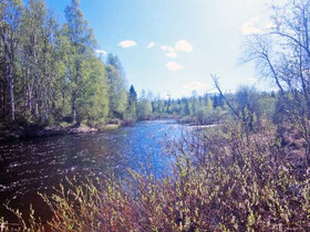 1.6 ha, Leväkoskentie, Suomussalmi, Tontit, Suomussalmi, Tori.fi 1.6 ha, Leväkoskentie, Suomussalmi, Tontit, Suomussalmi, Tori.fi