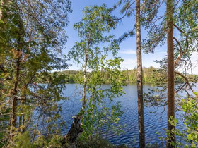 6054m², Lampilantie 28 tontti 4, Mikkeli, Tontit, Mikkeli, Tori.fi 6054m², Lampilantie 28 tontti 4, Mikkeli, Tontit, Mikkeli, Tori.fi