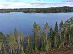 8000m², Haapasaarentie, Mikkeli, Tontit, Mikkeli, Tori.fi 8000m², Haapasaarentie, Mikkeli, Tontit, Mikkeli, Tori.fi