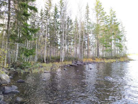 6000m², Tyynelän Metsätie 245, Joutsa, Tontit, Joutsa, Tori.fi 6000m², Tyynelän Metsätie 245, Joutsa, Tontit, Joutsa, Tori.fi