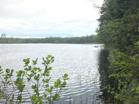 1.67 ha, Husunkulmantie 225 d, Kouvola, Tontit, Kouvola, Tori.fi 1.67 ha, Husunkulmantie 225 d, Kouvola, Tontit, Kouvola, Tori.fi