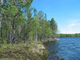 5617m², Iivantiira, Saarensalmentie Kortteli 4, to, Tontit, Kuhmo, Tori.fi