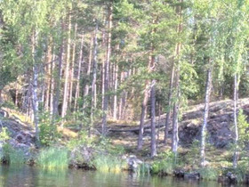 5500m², Lapinsalonsaari 48, Savitaipale, Tontit, Savitaipale, Tori.fi 5500m², Lapinsalonsaari 48, Savitaipale, Tontit, Savitaipale, Tori.fi