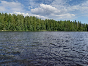 Metsätila ja rantatontti, Metsätilat ja maatilat, Rautalampi, Tori.fi Metsätila ja rantatontti, Metsätilat ja maatilat, Rautalampi, Tori.fi