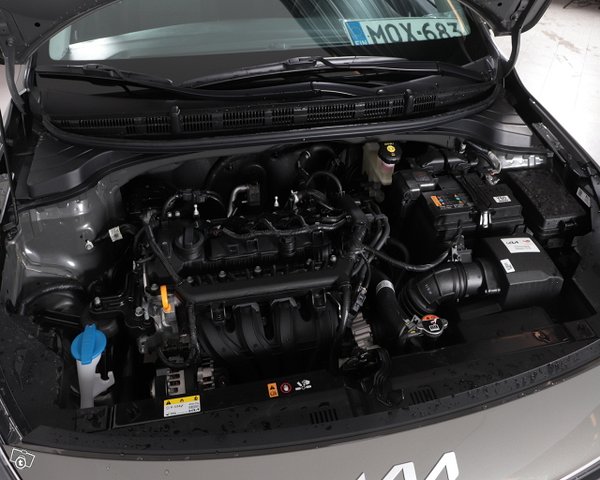 Kia RIO 14
