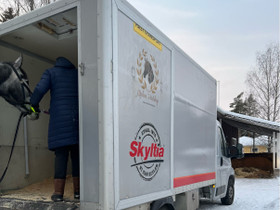 Hevoskuljetuksia, Trailerit ja kuljetus, Hevoset ja hevosurheilu, Nurmijärvi, Tori.fi Hevoskuljetuksia, Trailerit ja kuljetus, Hevoset ja hevosurheilu, Nurmijärvi, Tori.fi