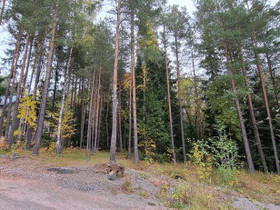 988m², Halolankuja 7, Lohja, Tontit, Lohja, Tori.fi 988m², Halolankuja 7, Lohja, Tontit, Lohja, Tori.fi