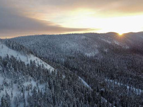 Yhteismetsäosuus 0,023000 mnt, Kuusamo, Kuusamo, Metsätilat ja maatilat, Kuusamo, Tori.fi Yhteismetsäosuus 0,023000 mnt, Kuusamo, Kuusamo, Metsätilat ja maatilat, Kuusamo, Tori.fi