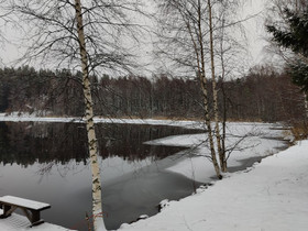 Puuhapalsta, Metsätilat ja maatilat, Janakkala, Tori.fi Puuhapalsta, Metsätilat ja maatilat, Janakkala, Tori.fi
