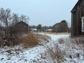 Maatila, Metsätilat ja maatilat, Oulu, Tori.fi