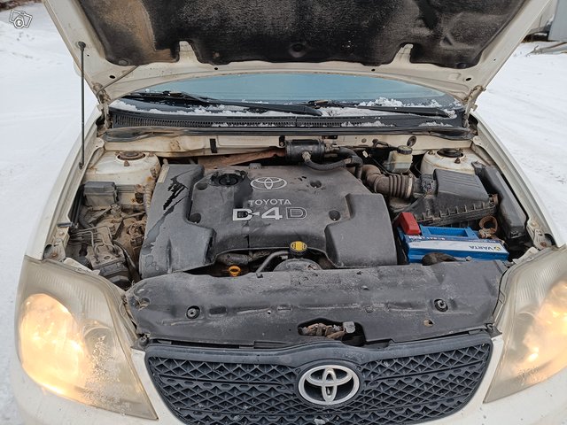 Toyota Corolla 6