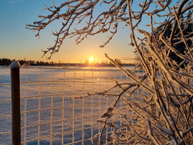 Koiralle viikonloppuhoitoa, Palvelut, Siikajoki, Tori.fi Koiralle viikonloppuhoitoa, Palvelut, Siikajoki, Tori.fi