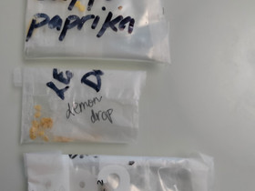 Paprikan ja chilin siemenet, Kasvit ja siemenet, Piha ja puutarha, Helsinki, Tori.fi Paprikan ja chilin siemenet, Kasvit ja siemenet, Piha ja puutarha, Helsinki, Tori.fi