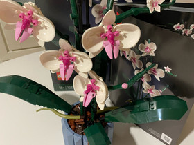 Lego kukka Orchid Botanical Collection, Muu keräily, Keräily, Oulu, Tori.fi Lego kukka Orchid Botanical Collection, Muu keräily, Keräily, Oulu, Tori.fi