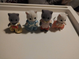 Persian kissa perhe, Pelit ja muut harrastukset, Tampere, Tori.fi Persian kissa perhe, Pelit ja muut harrastukset, Tampere, Tori.fi