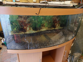 Juwel 450l, Kalat ja akvaariot, Lemmikkieläimet, Rauma, Tori.fi Juwel 450l, Kalat ja akvaariot, Lemmikkieläimet, Rauma, Tori.fi