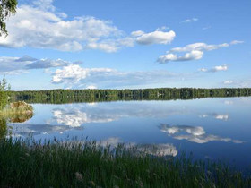 4809m², Juuriniementie (216), Tammela, Tontit, Tammela, Tori.fi 4809m², Juuriniementie (216), Tammela, Tontit, Tammela, Tori.fi