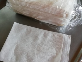 Pesulappu, Terveyslaitteet ja hygieniatarvikkeet, Terveys ja hyvinvointi, Lahti, Tori.fi Pesulappu, Terveyslaitteet ja hygieniatarvikkeet, Terveys ja hyvinvointi, Lahti, Tori.fi
