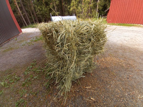 Heinää, Maatalous, Salo, Tori.fi Heinää, Maatalous, Salo, Tori.fi