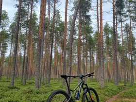 Orbea Laufey H30, L, Maastopyörät, Polkupyörät ja pyöräily, Kalajoki, Tori.fi Orbea Laufey H30, L, Maastopyörät, Polkupyörät ja pyöräily, Kalajoki, Tori.fi