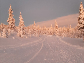Junalippu Rovaniemi-Tampere, sis hytti ja auto, Matkat, risteilyt ja lentoliput, Matkat ja liput, Rauma, Tori.fi Junalippu Rovaniemi-Tampere, sis hytti ja auto, Matkat, risteilyt ja lentoliput, Matkat ja liput, Rauma, Tori.fi