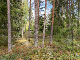 3490m², Mäntyrinne 6, Hausjärvi, Tontit, Hausjärvi, Tori.fi
