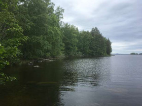 9500m², Niinivesi, Niinisalmi Tontti 4, Rautalampi, Tontit, Rautalampi, Tori.fi 9500m², Niinivesi, Niinisalmi Tontti 4, Rautalampi, Tontit, Rautalampi, Tori.fi