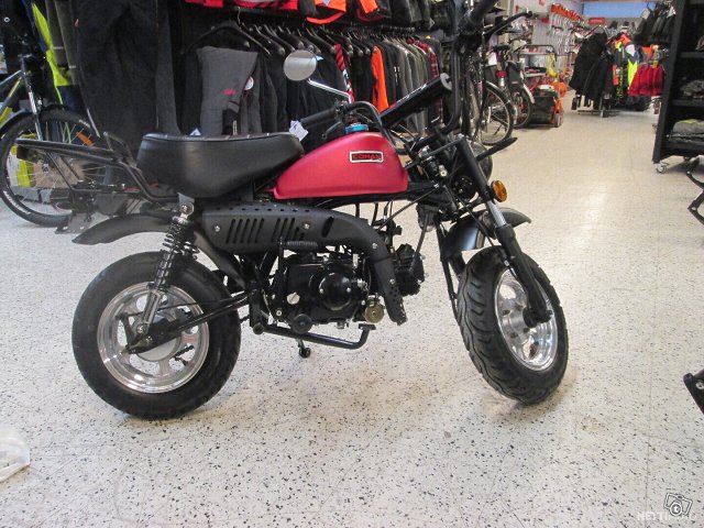 Conan St-50