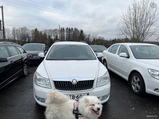 Skoda Octavia 4