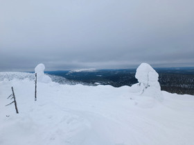 Suksien voitelu, Hiihto, Urheilu ja ulkoilu, Rovaniemi, Tori.fi Suksien voitelu, Hiihto, Urheilu ja ulkoilu, Rovaniemi, Tori.fi