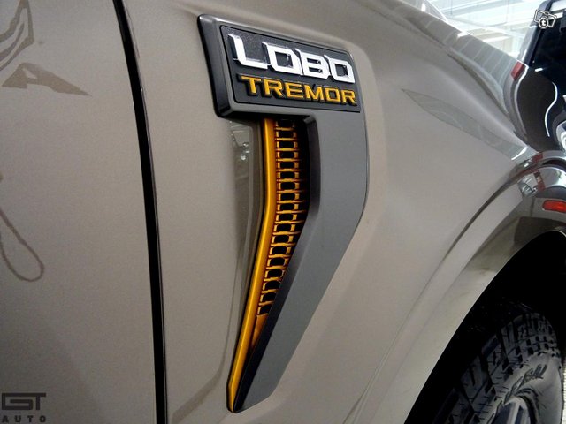 Ford F150 13