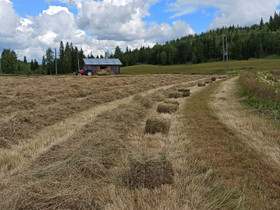 Pienpaaleja, Maatalous, Jämsä, Tori.fi Pienpaaleja, Maatalous, Jämsä, Tori.fi