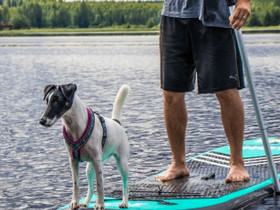 Uusi Aloha sup-lautasetti 2 laatu, Kanootit ja kajakit, Veneet, Tampere, Tori.fi Uusi Aloha sup-lautasetti 2 laatu, Kanootit ja kajakit, Veneet, Tampere, Tori.fi