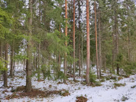 Vekurintie 238 (lähin osoite), Ilmoila, Hämeenlinn, Metsätilat ja maatilat, Hämeenlinna, Tori.fi Vekurintie 238 (lähin osoite), Ilmoila, Hämeenlinn, Metsätilat ja maatilat, Hämeenlinna, Tori.fi