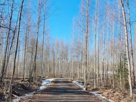 3000m², Ihantolantie kangasala, Kangasala, Tontit, Kangasala, Tori.fi 3000m², Ihantolantie kangasala, Kangasala, Tontit, Kangasala, Tori.fi