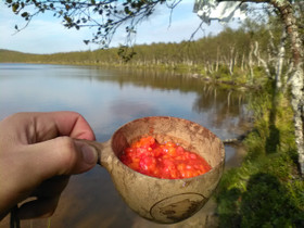 Metsästysoikeus, Metsätilat ja maatilat, Askola, Tori.fi Metsästysoikeus, Metsätilat ja maatilat, Askola, Tori.fi