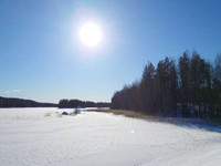 1.7 ha, Onkisalontie 83, Luhanka