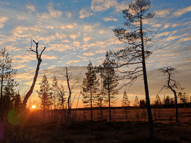 Etsitään:Eräkämppä/mökki Kainuusta, Mökit ja loma-asunnot, Suomussalmi, Tori.fi Etsitään:Eräkämppä/mökki Kainuusta, Mökit ja loma-asunnot, Suomussalmi, Tori.fi