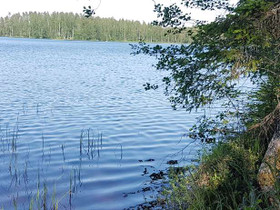 5430m², Jukajärventie 95, Ruokolahti, Tontit, Ruokolahti, Tori.fi