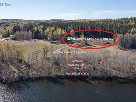 7900m², Hiirolantie 59, Hattula, Tontit, Hattula, Tori.fi 7900m², Hiirolantie 59, Hattula, Tontit, Hattula, Tori.fi