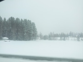 Metsätila, Metsätilat ja maatilat, Kajaani, Tori.fi Metsätila, Metsätilat ja maatilat, Kajaani, Tori.fi