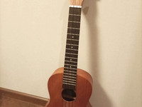Ukulele
