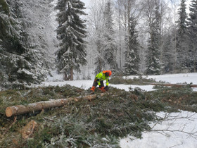 Puunkaato, Palvelut, Riihimäki, Tori.fi Puunkaato, Palvelut, Riihimäki, Tori.fi