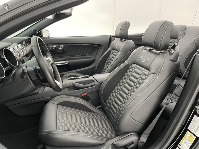 Ford Mustang 14