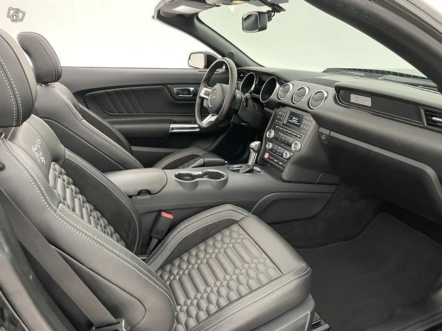 Ford Mustang 18